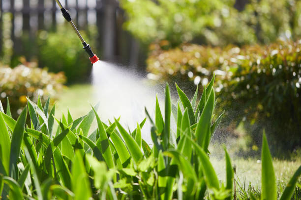 24/7 Emergency Wasp Removal experts in Whitefish Bay, WI