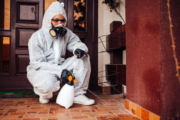 Reliable Wasp Removal contractor in Whitefish Bay, WI by Show Me Pest Control